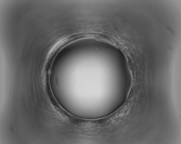X0000112400197200908211123