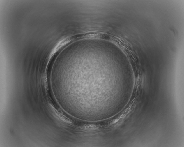 X0000112400198200908211123