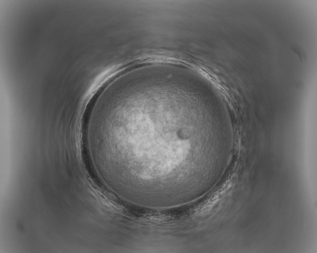X0000112400199200908211123