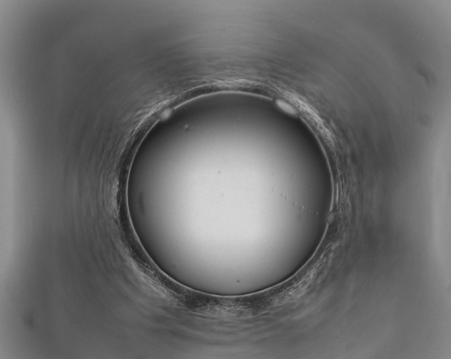 X0000112400201200908211123