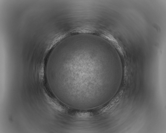 X0000112400202200908211123