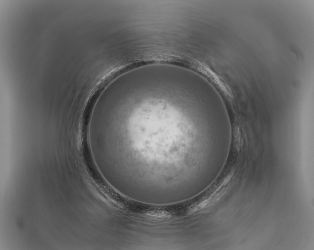 X0000112400203200908211123