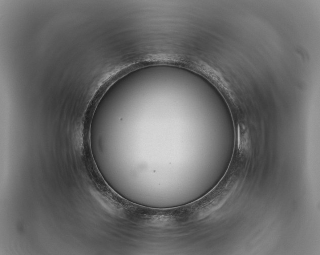 X0000112400204200908211122
