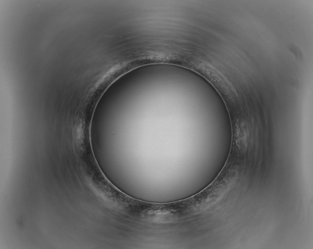 X0000112400208200908211122