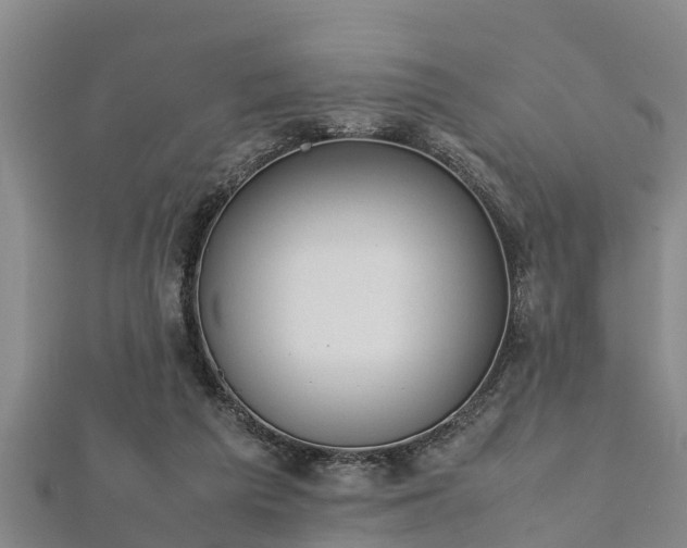 X0000112400209200908211122