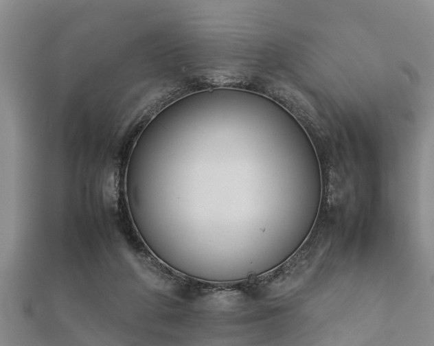 X0000112400210200908211122