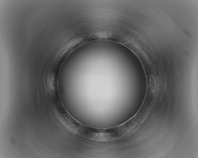 X0000112400212200908211122