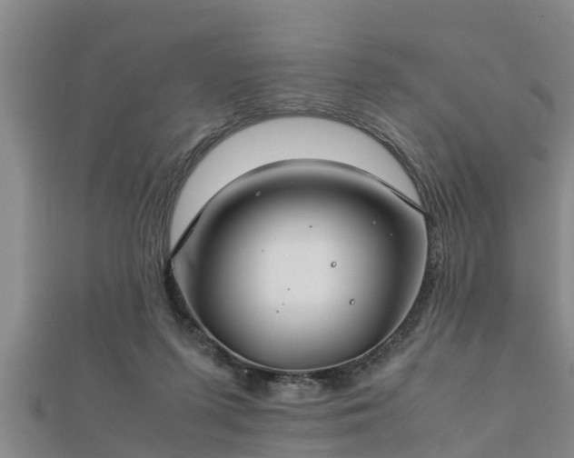 X0000112400215200908211122