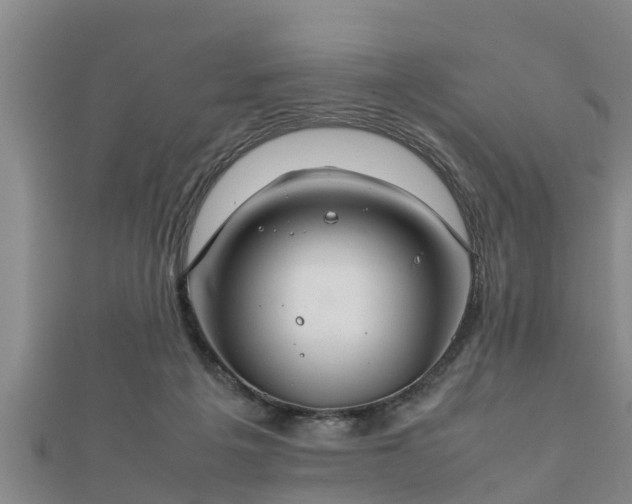 X0000112400217200908211122