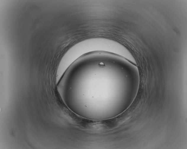 X0000112400219200908211122