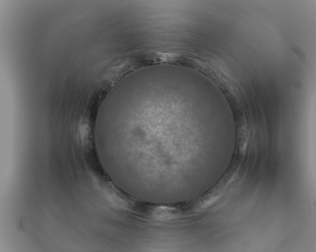X0000112400222200908211122