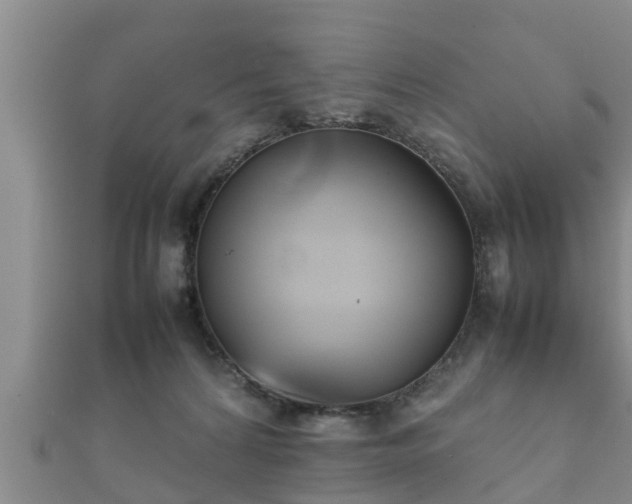 X0000112400224200908211122