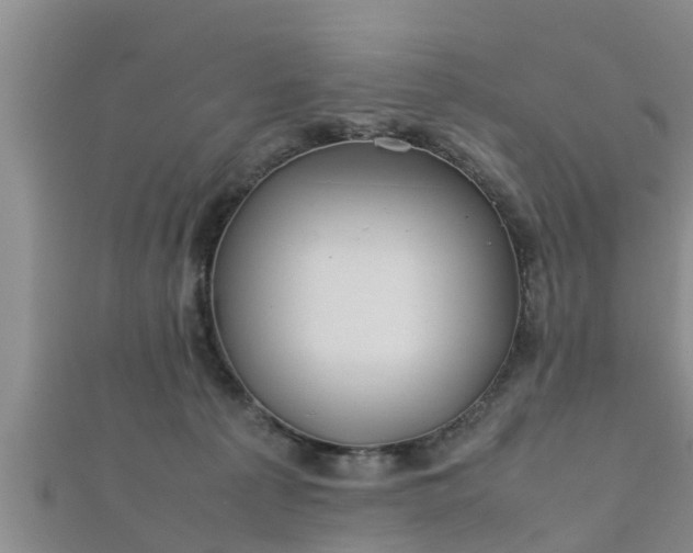 X0000112400225200908211122