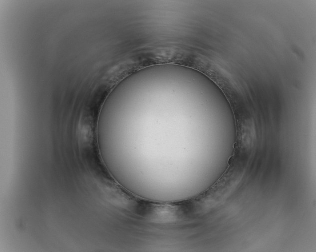 X0000112400226200908211122
