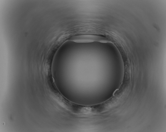 X0000112400227200908211122