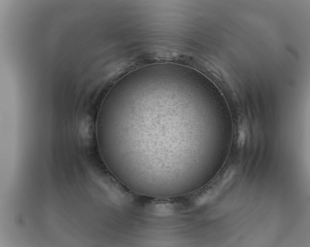 X0000112400228200908211122