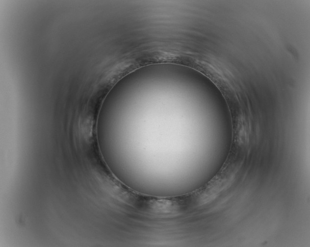 X0000112400230200908211122