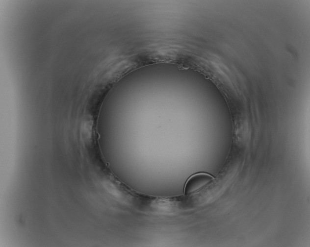 X0000112400231200908211122