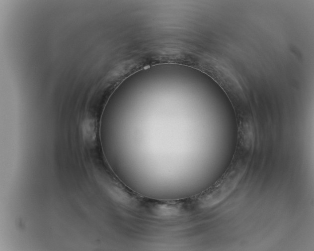 X0000112400232200908211122