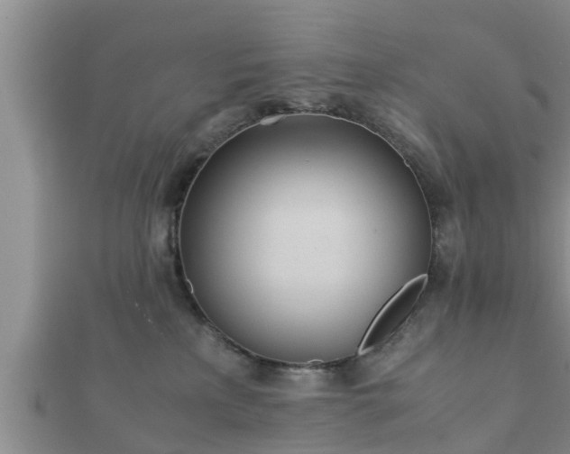 X0000112400233200908211122