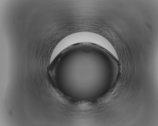 X0000112400235200908211122