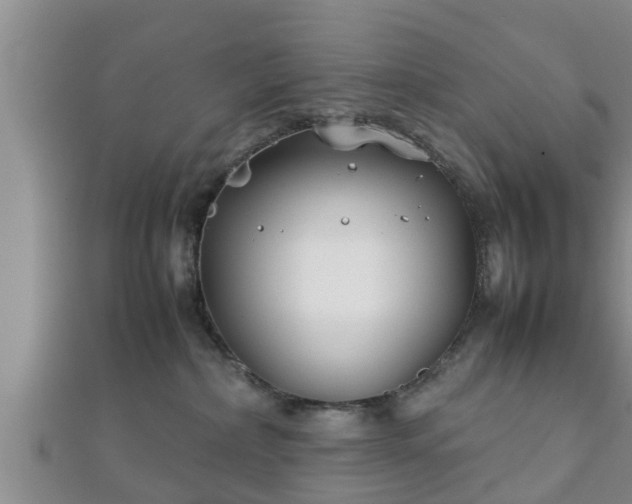 X0000112400236200908211122