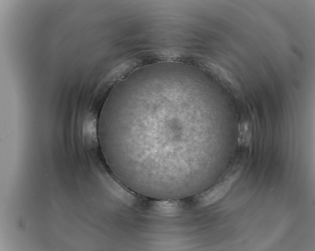 X0000112400238200908211122