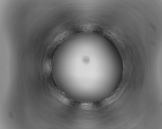 X0000112400240200908211122