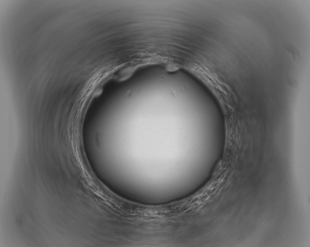 X0000112400241200908211121
