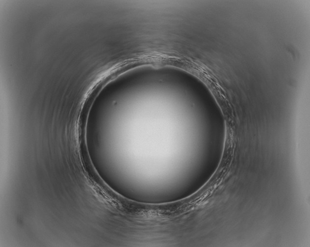 X0000112400244200908211121