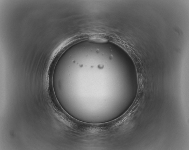 X0000112400246200908211121