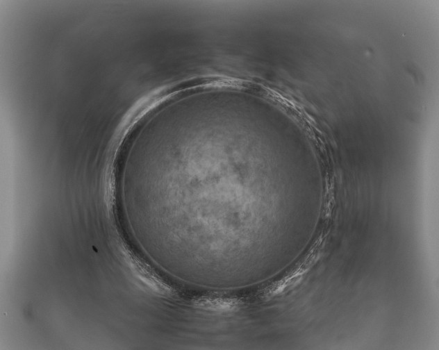 X0000112400247200908211121
