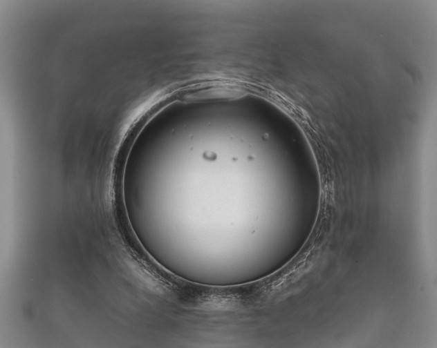 X0000112400248200908211122