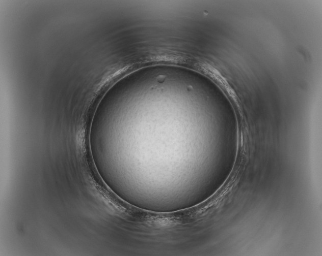X0000112400249200908211122