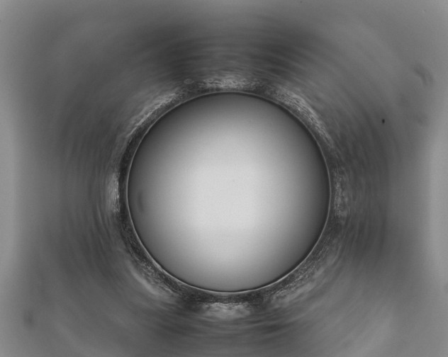 X0000112400251200908211122