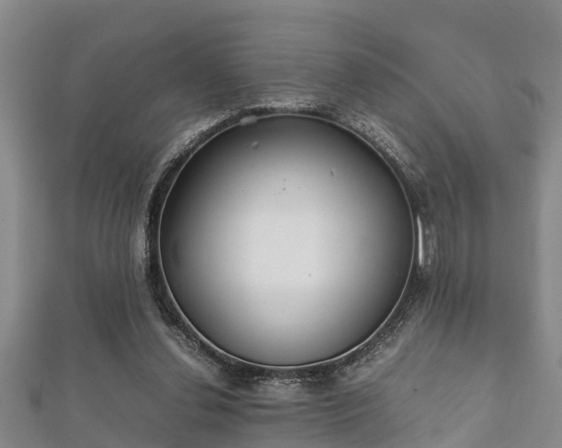X0000112400252200908211122