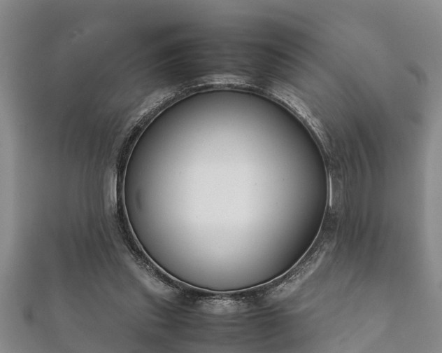 X0000112400253200908211122