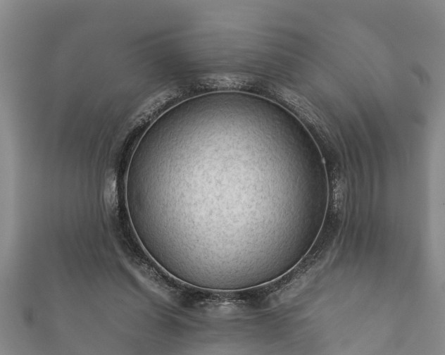 X0000112400254200908211122