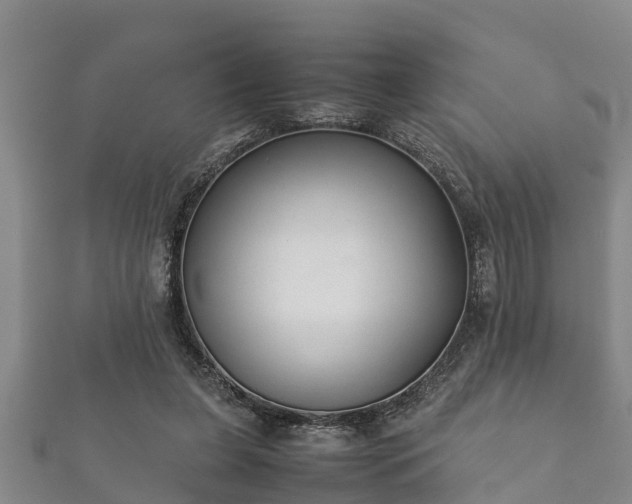 X0000112400255200908211122