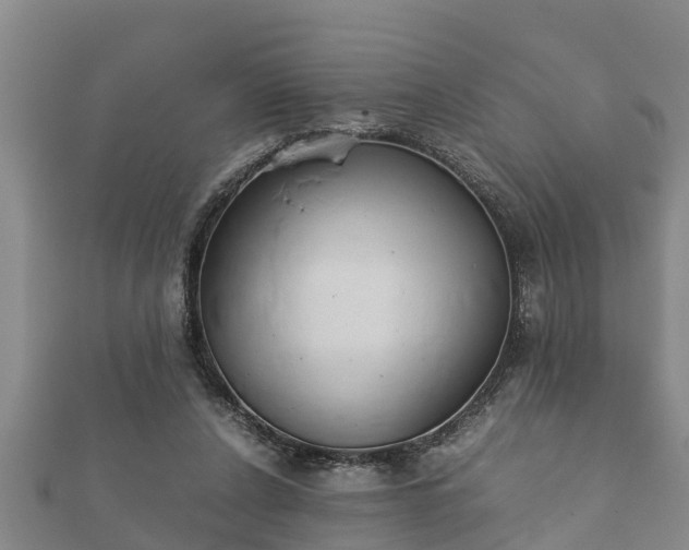 X0000112400256200908211122