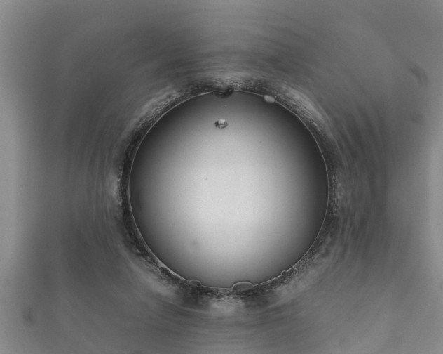 X0000112400258200908211122