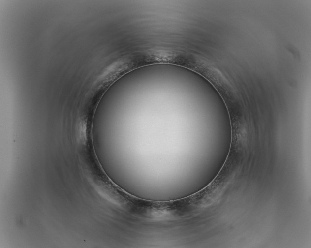 X0000112400262200908211122