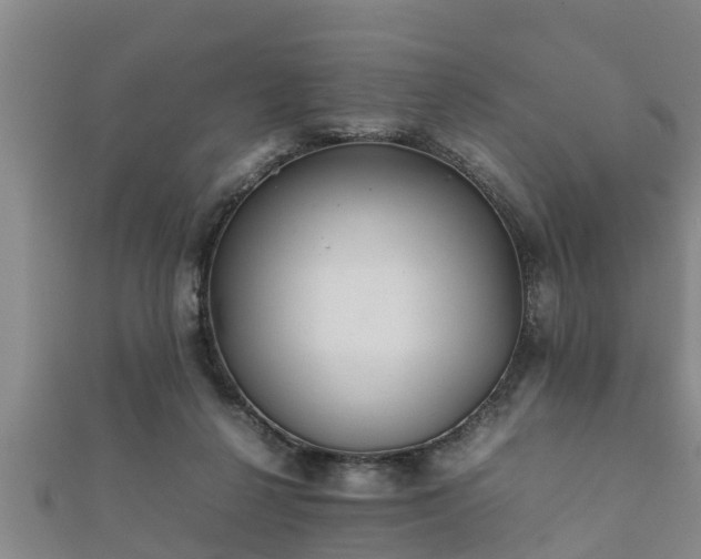 X0000112400264200908211122