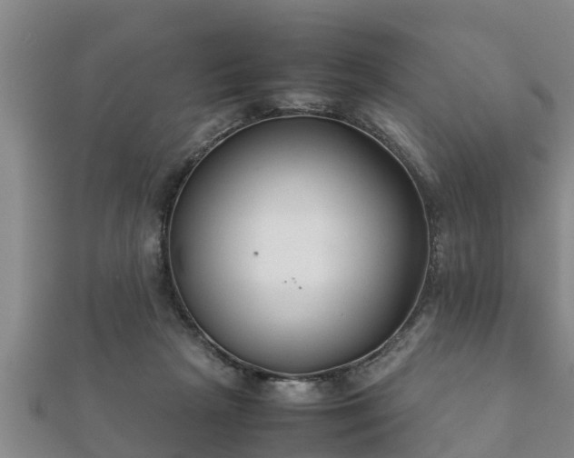 X0000112400265200908211122