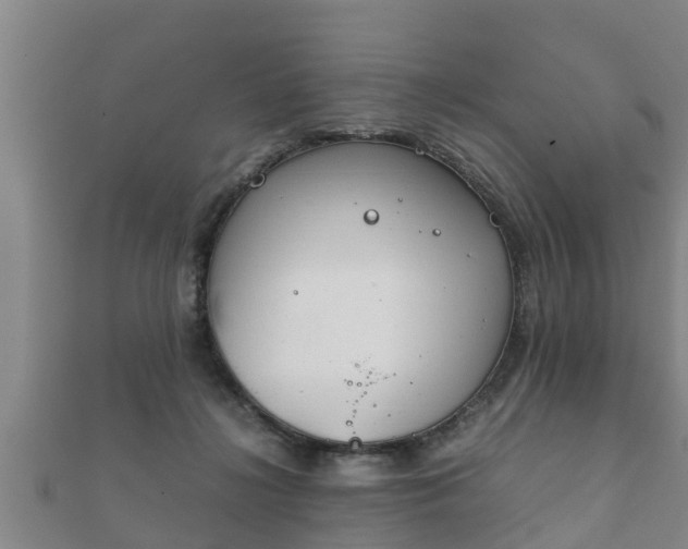 X0000112400268200908211122