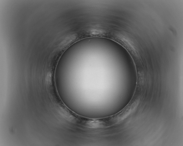 X0000112400269200908211122