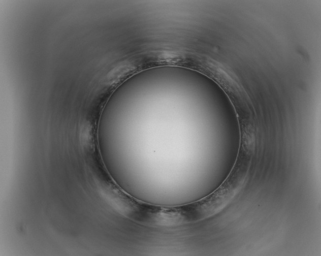 X0000112400270200908211122