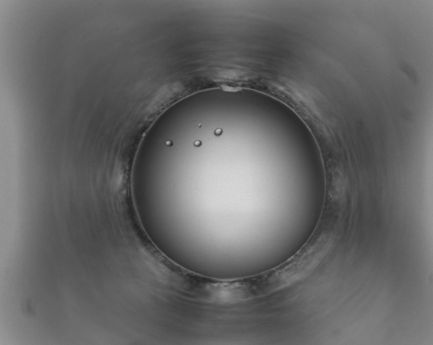 X0000112400273200908211122