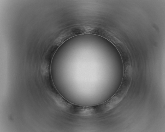 X0000112400274200908211122