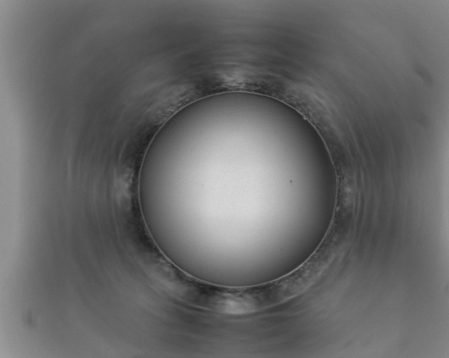 X0000112400275200908211122